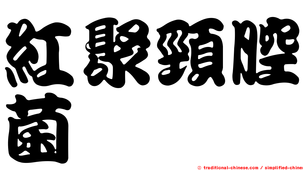 紅聚頸腔菌