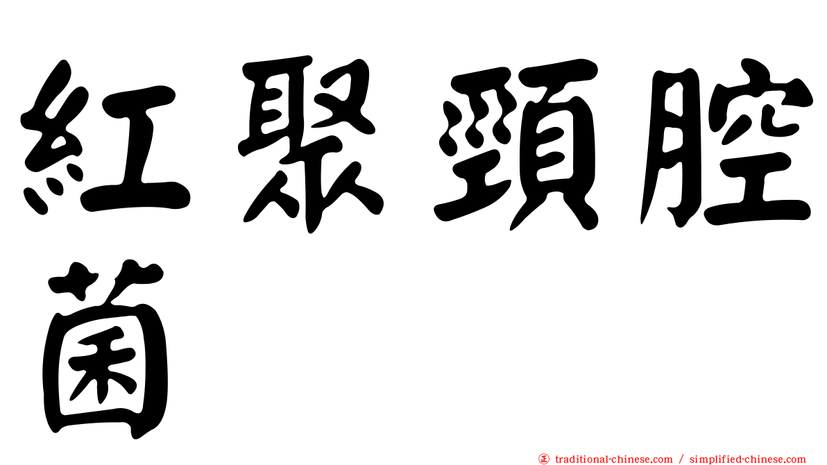 紅聚頸腔菌
