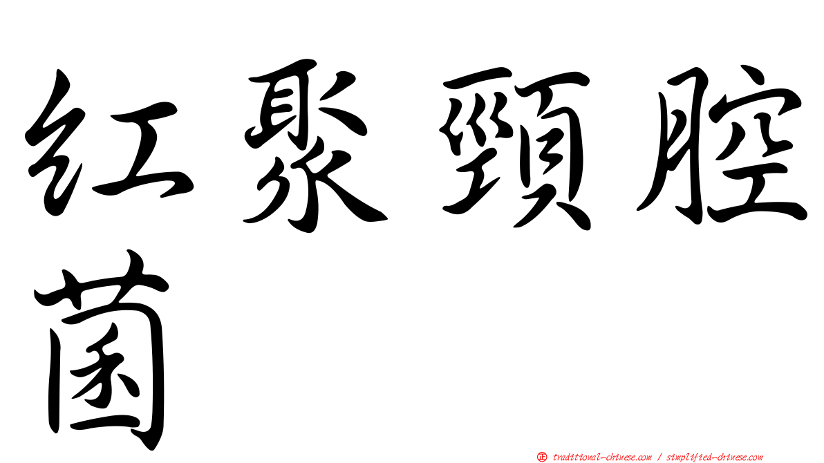 紅聚頸腔菌