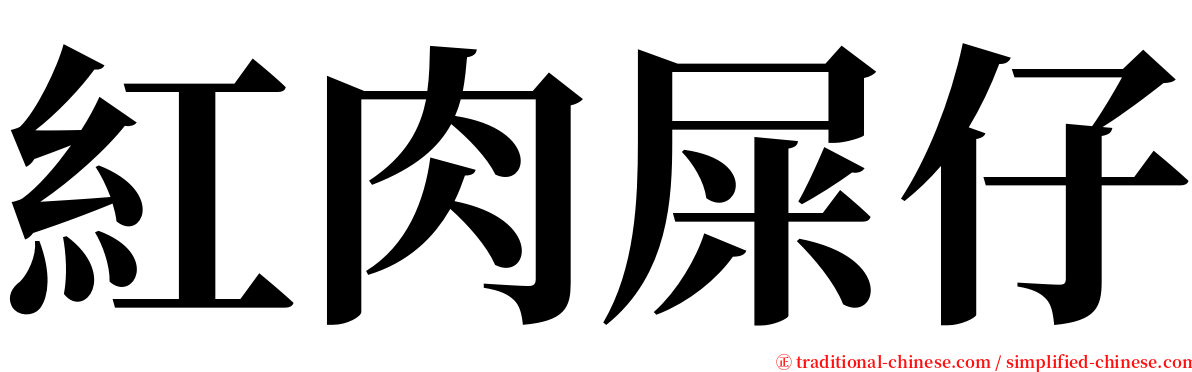 紅肉屎仔 serif font