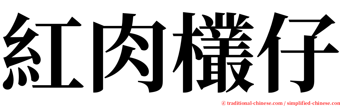 紅肉欉仔 serif font