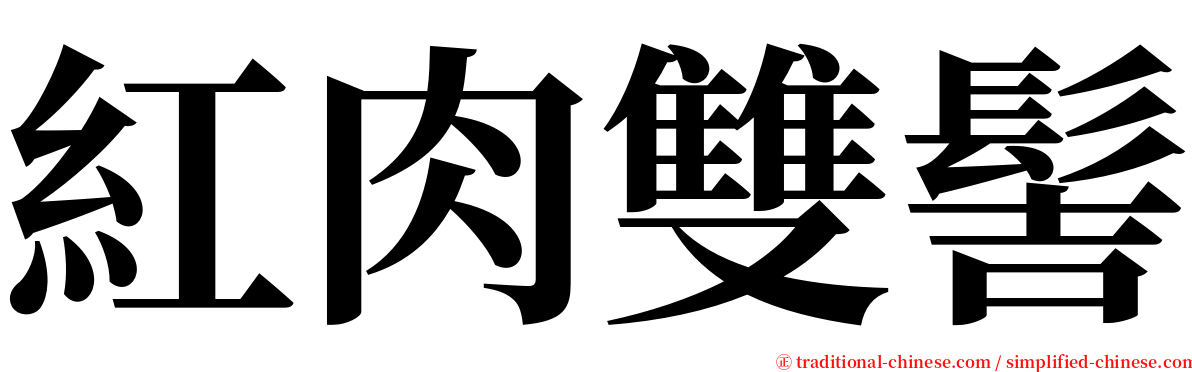 紅肉雙髻 serif font