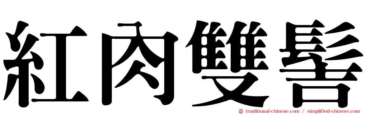 紅肉雙髻