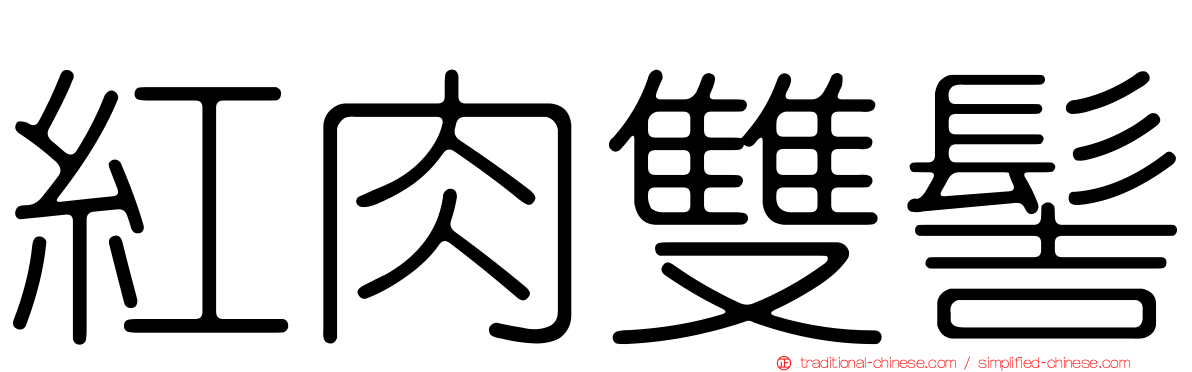 紅肉雙髻