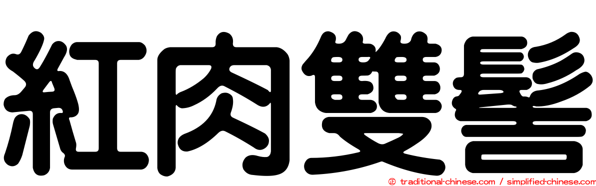 紅肉雙髻