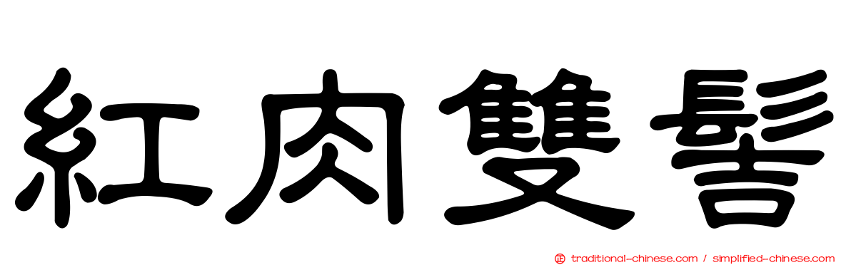 紅肉雙髻