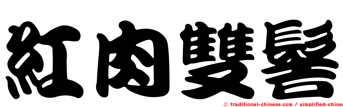 紅肉雙髻