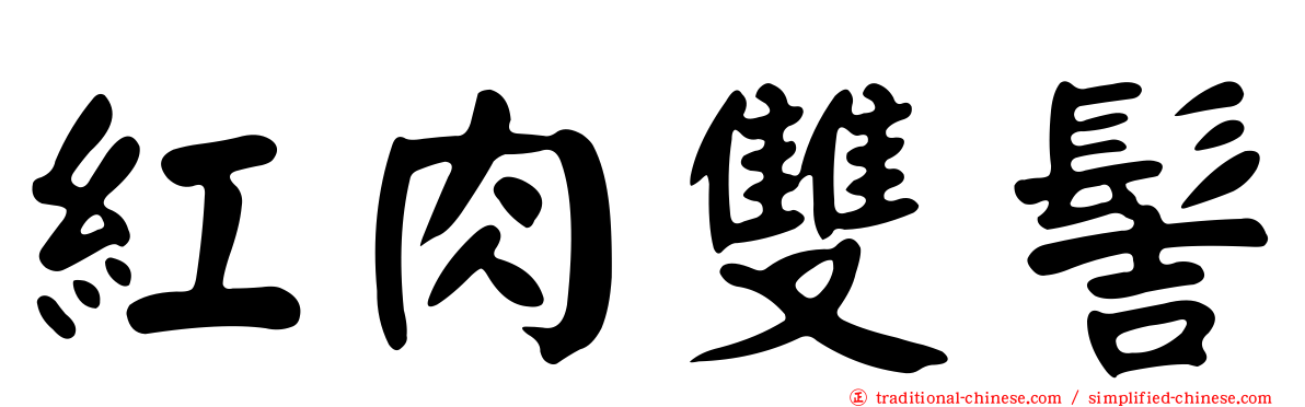 紅肉雙髻