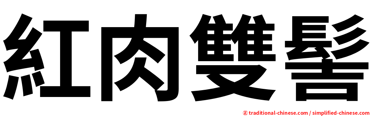 紅肉雙髻