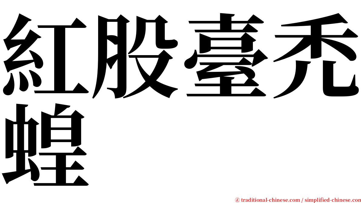 紅股臺禿蝗 serif font