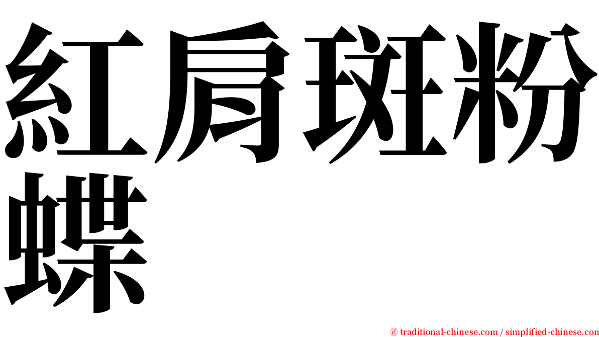 紅肩斑粉蝶 serif font