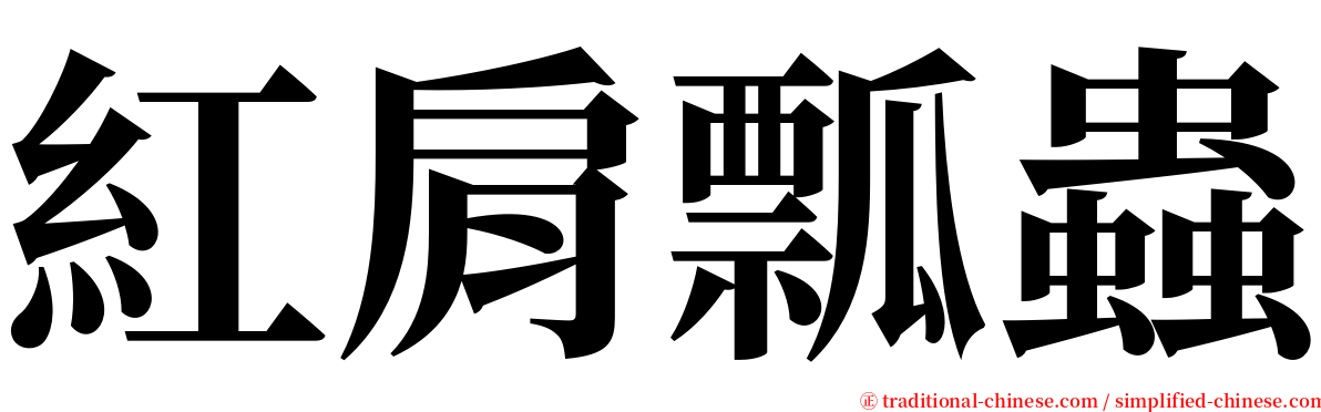 紅肩瓢蟲 serif font