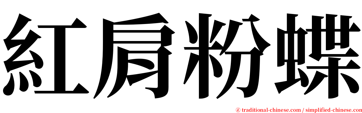 紅肩粉蝶 serif font