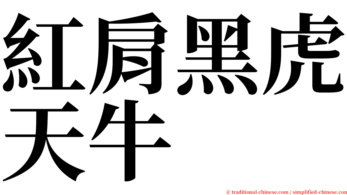 紅肩黑虎天牛 serif font