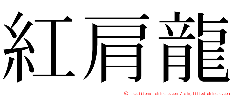 紅肩龍 ming font