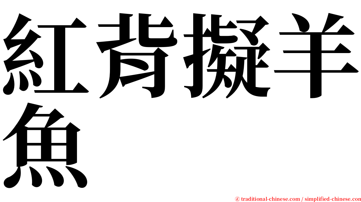 紅背擬羊魚 serif font