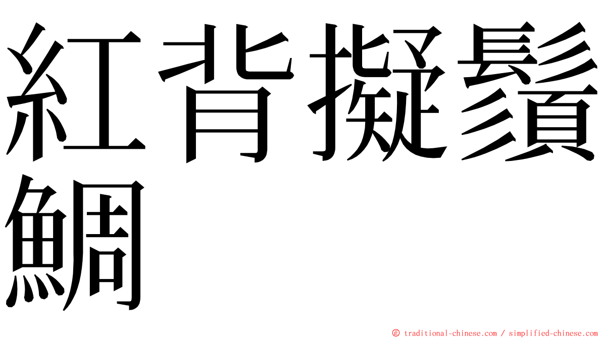 紅背擬鬚鯛 ming font