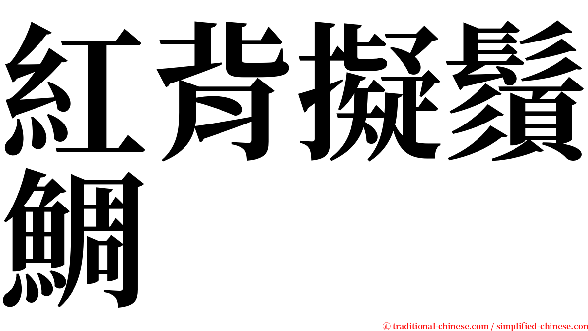 紅背擬鬚鯛 serif font