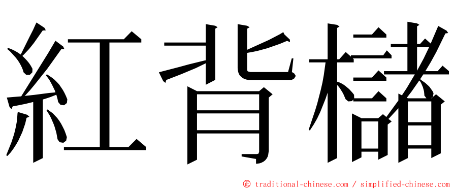 紅背櫧 ming font