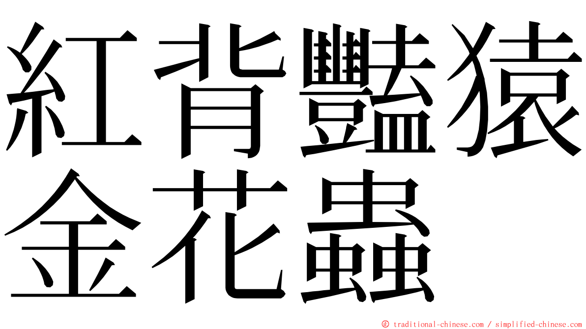 紅背豔猿金花蟲 ming font