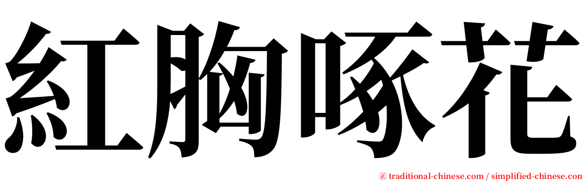 紅胸啄花 serif font