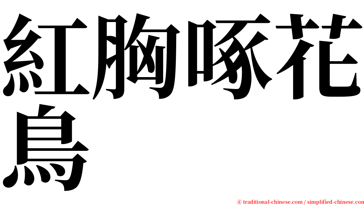 紅胸啄花鳥 serif font