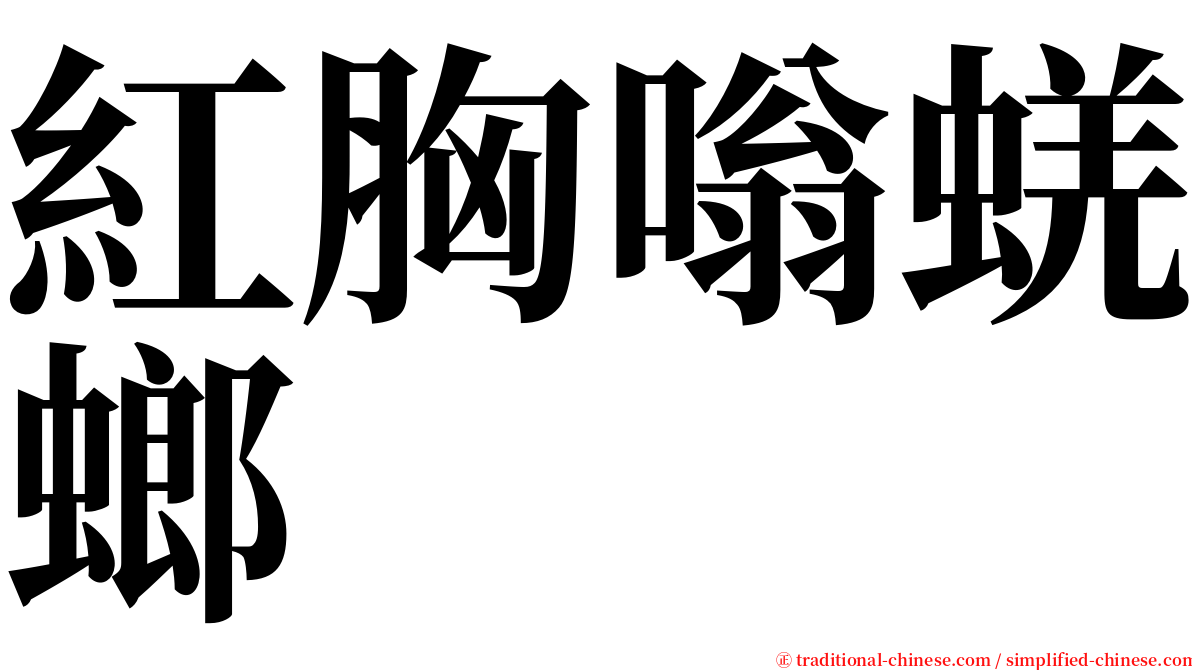 紅胸嗡蜣螂 serif font