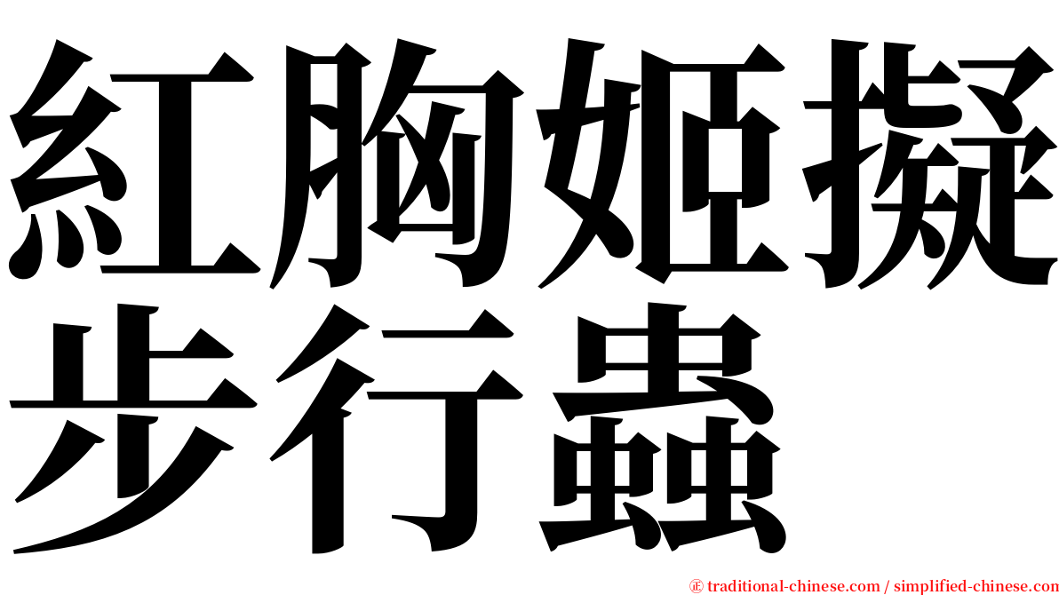 紅胸姬擬步行蟲 serif font