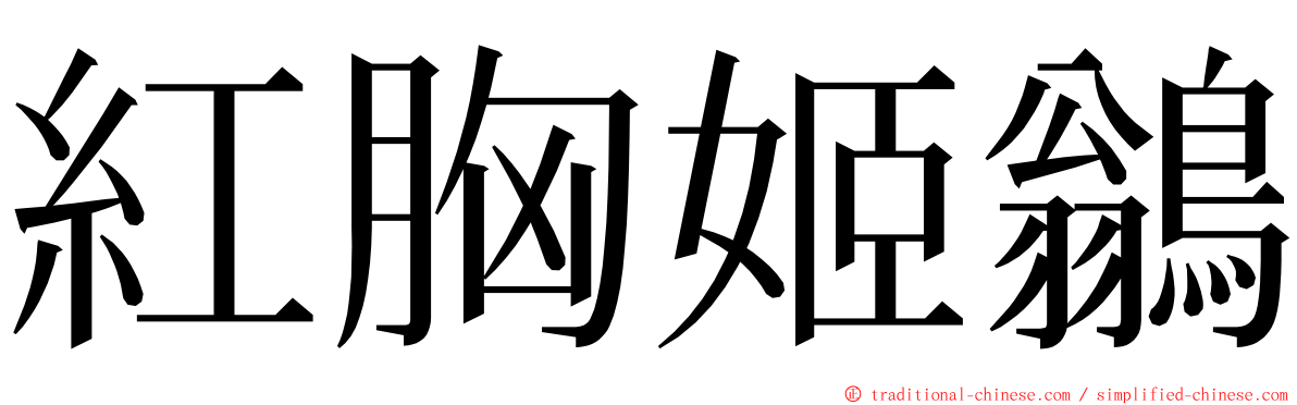 紅胸姬鶲 ming font