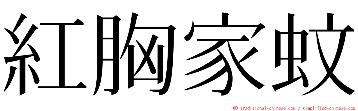 紅胸家蚊 ming font