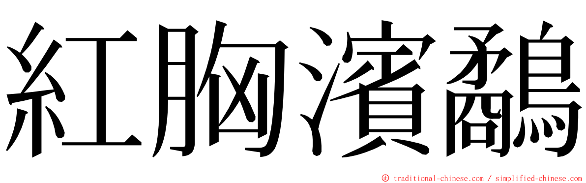 紅胸濱鷸 ming font