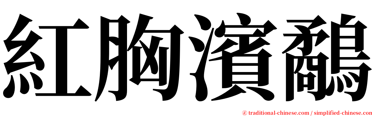 紅胸濱鷸 serif font