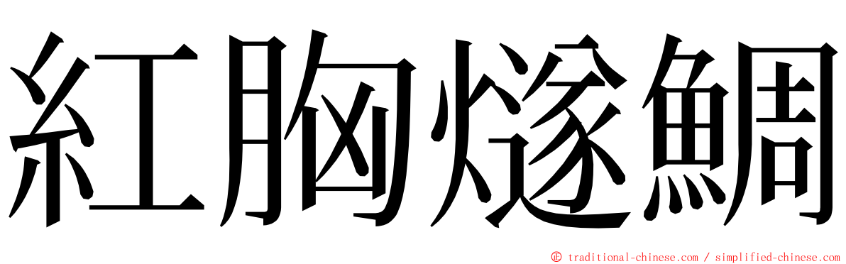 紅胸燧鯛 ming font