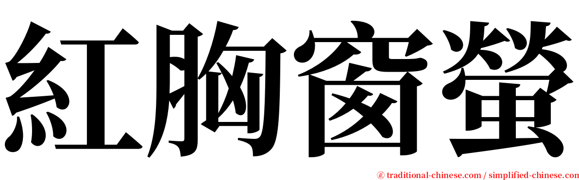 紅胸窗螢 serif font