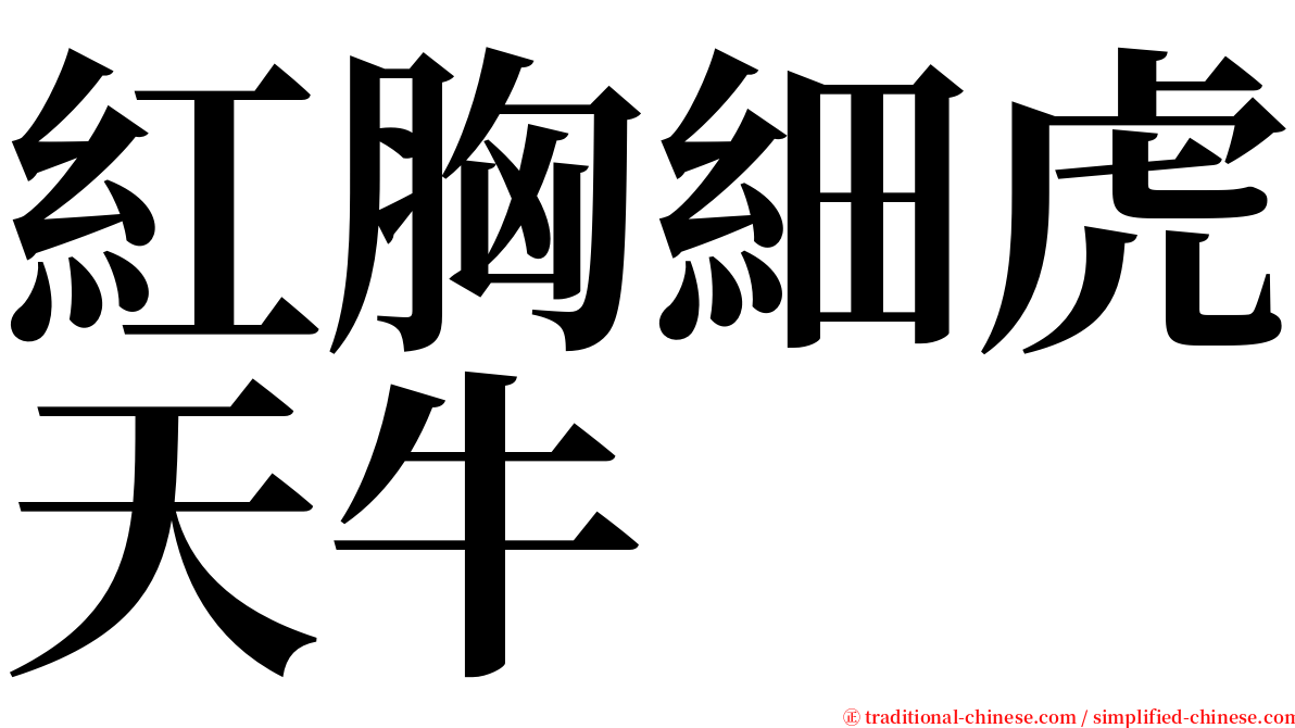 紅胸細虎天牛 serif font