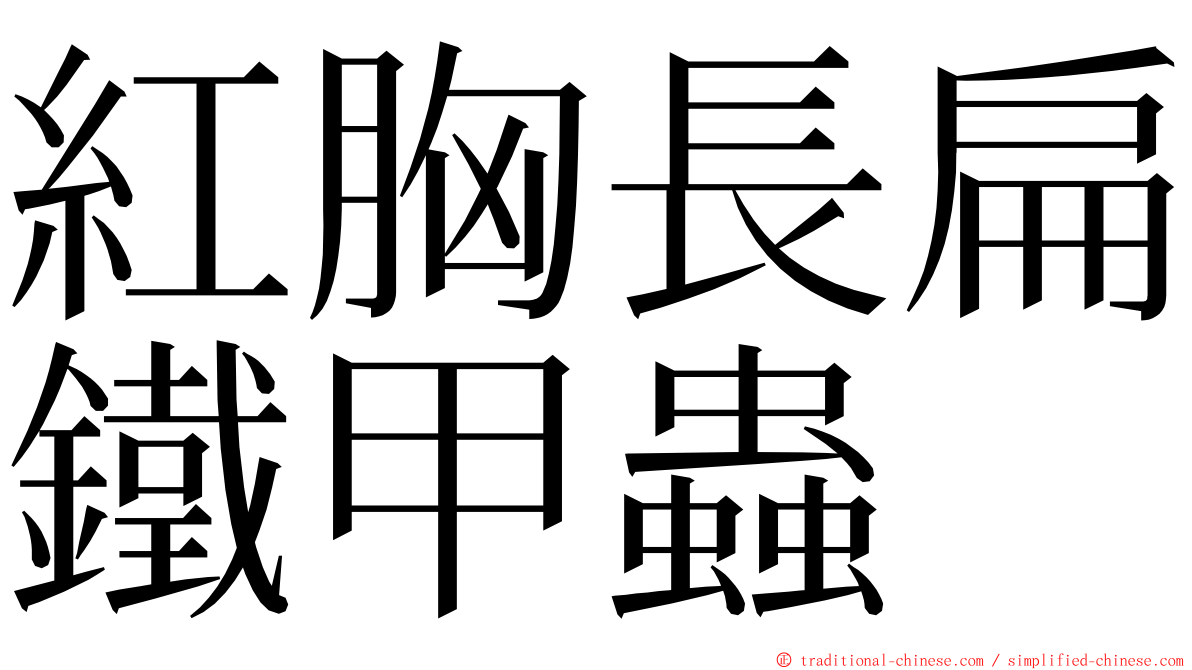 紅胸長扁鐵甲蟲 ming font