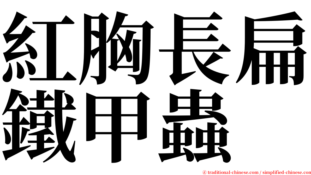 紅胸長扁鐵甲蟲 serif font