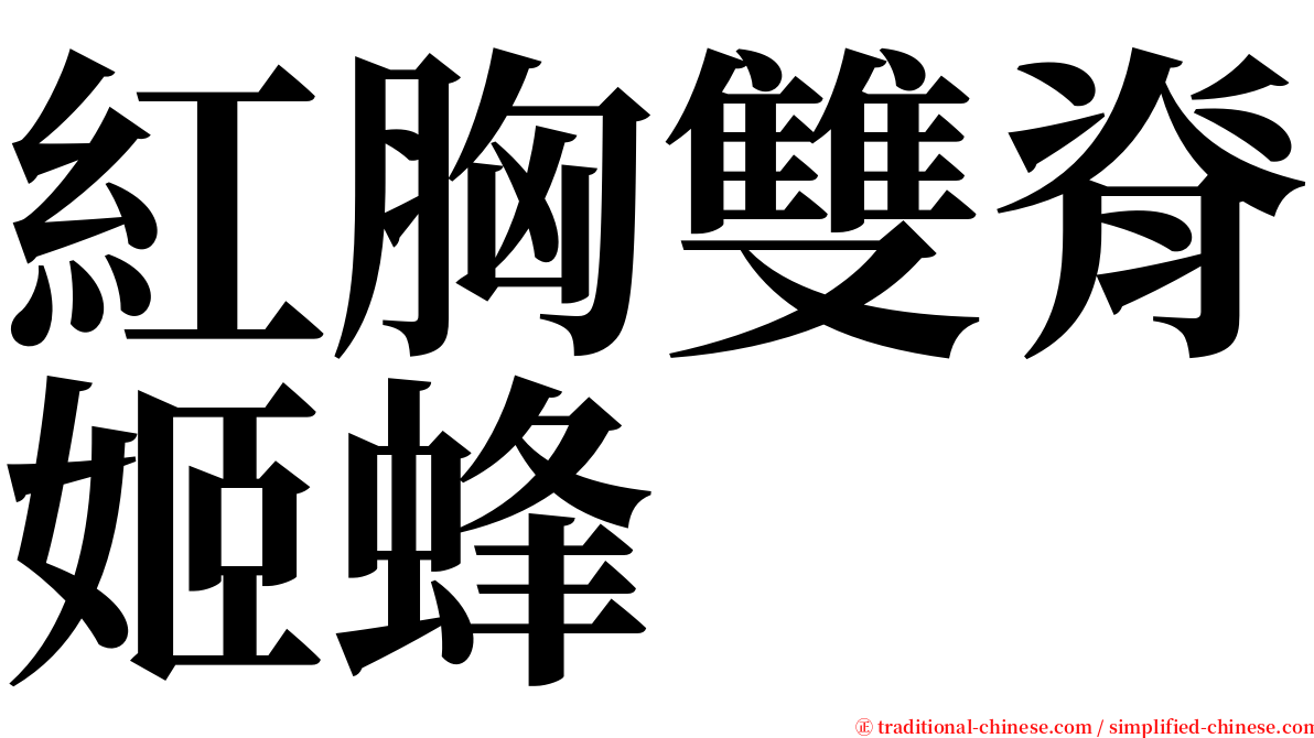 紅胸雙脊姬蜂 serif font