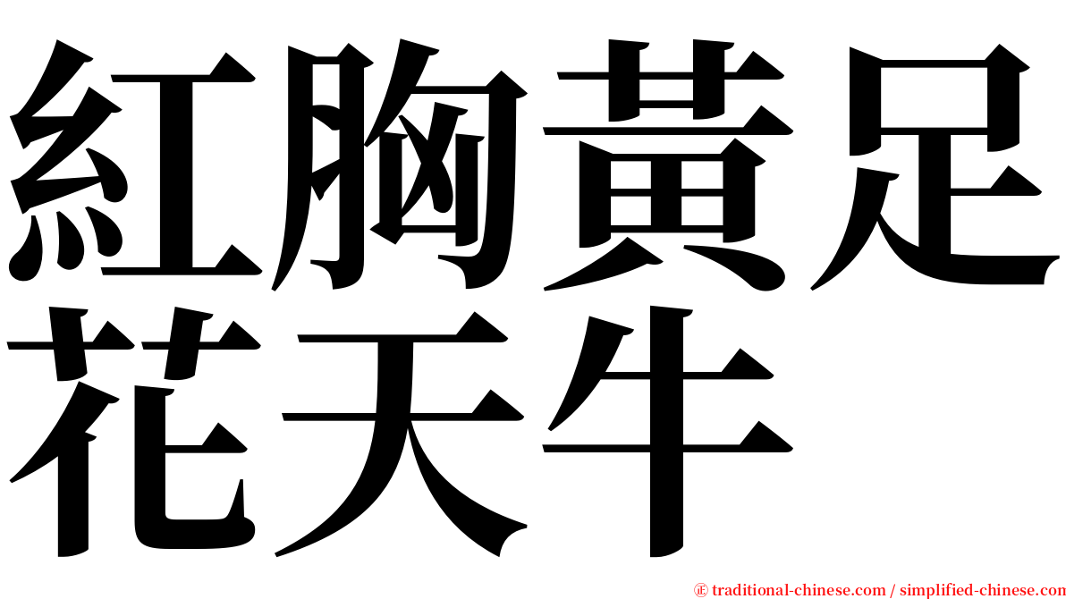 紅胸黃足花天牛 serif font