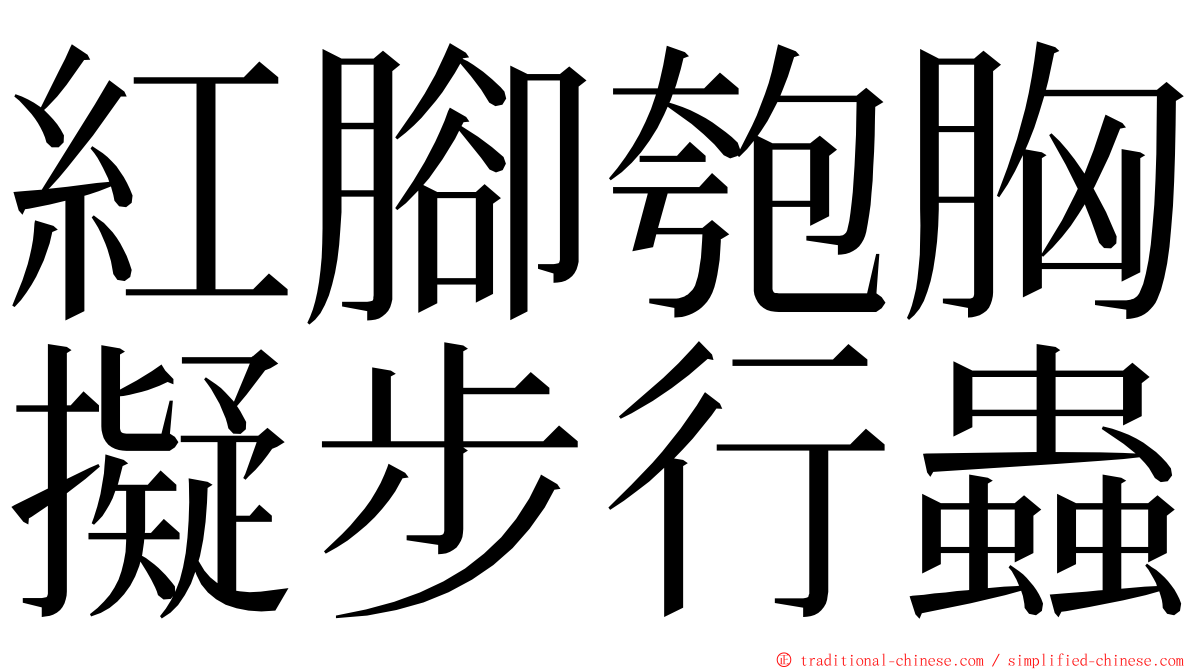 紅腳匏胸擬步行蟲 ming font