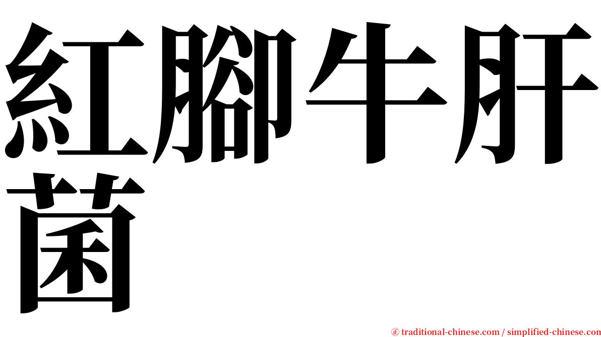 紅腳牛肝菌 serif font