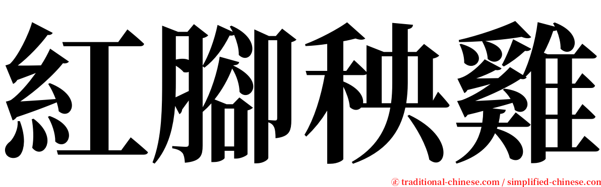 紅腳秧雞 serif font