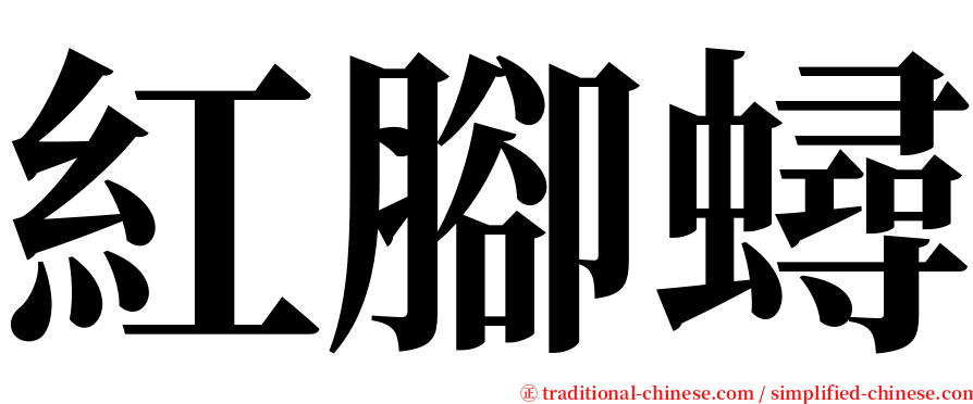 紅腳蟳 serif font