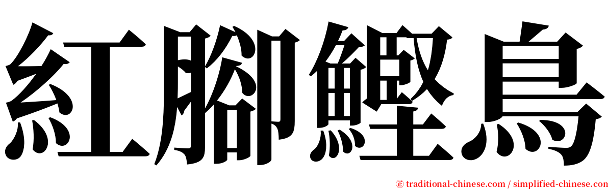 紅腳鰹鳥 serif font