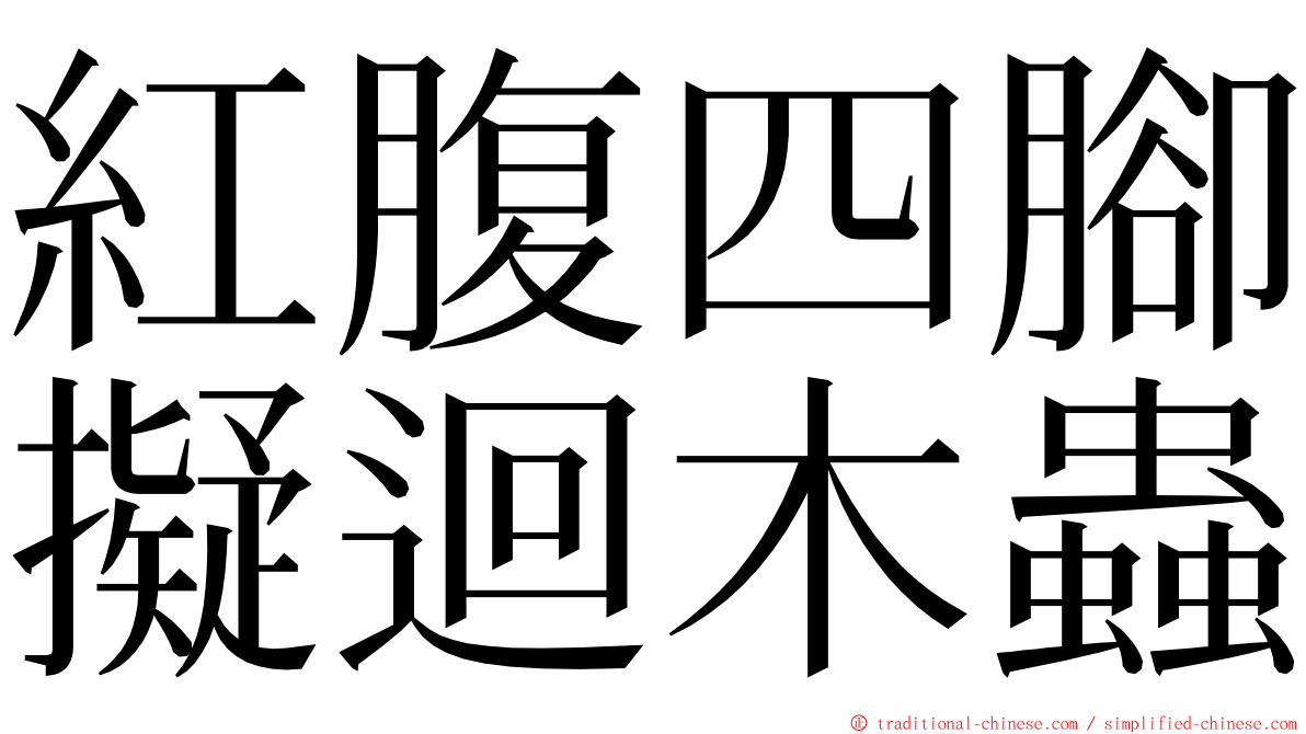 紅腹四腳擬迴木蟲 ming font