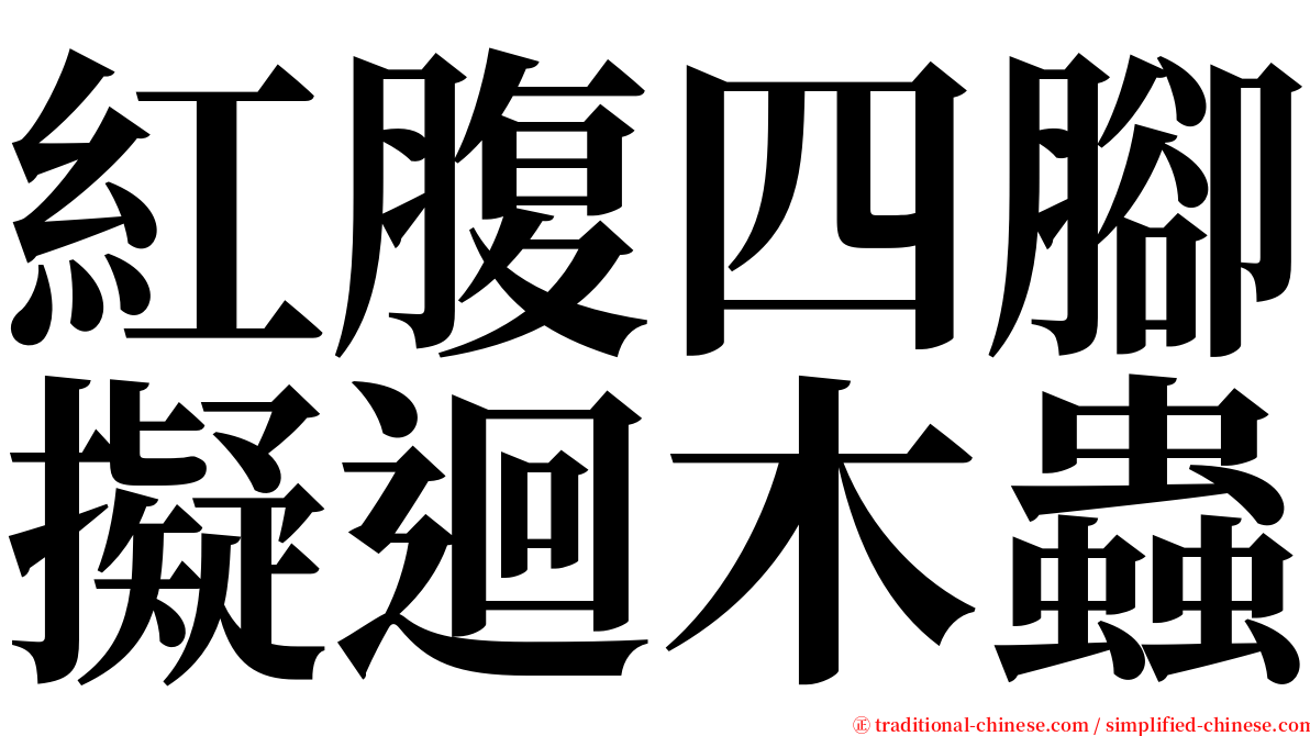 紅腹四腳擬迴木蟲 serif font