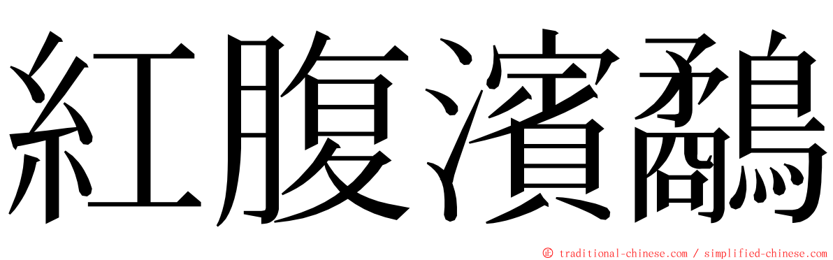 紅腹濱鷸 ming font