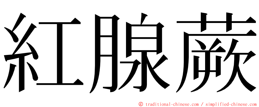 紅腺蕨 ming font