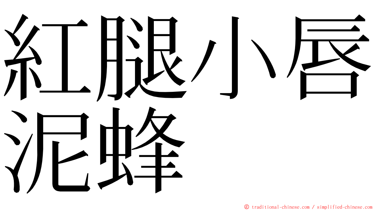 紅腿小唇泥蜂 ming font