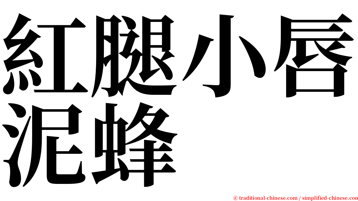 紅腿小唇泥蜂 serif font